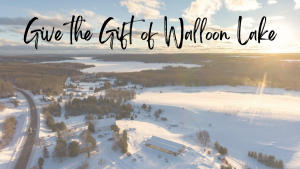 Read more about the article Give the Gift of Walloon Lake this Holiday Season