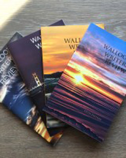 walloon lake writers review book covers